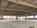 Warehouses to let in Zepter Shipyard Immo