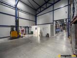 Warehouses to let in Sinofarm Stara Pazova