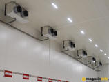 Warehouses to let in LOGMAXX ALPHA