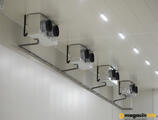 Warehouses to let in LOGMAXX ALPHA