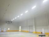 Warehouses to let in LOGMAXX ALPHA
