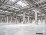 Warehouses to let in CTPark Novi Sad East