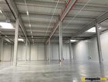 Warehouses to let in CTPark Jagodina