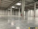 Warehouses to let in CTPark Jagodina
