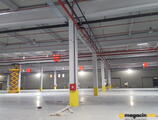 Warehouses to let in Logisticki centar Zrenjanin