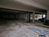 Warehouses to let in Magacinski prostor - Hala za izdavanje