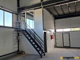 Warehouses to let in Izdavanje magacina u Ubu