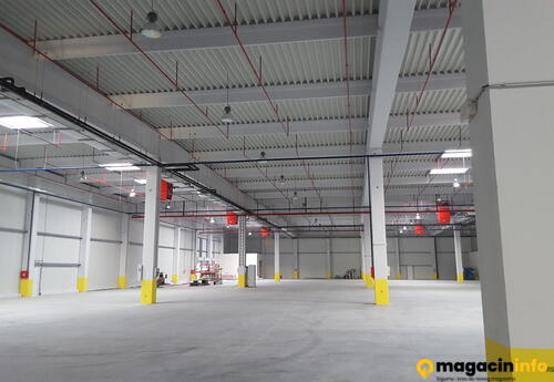 Warehouses to let in Logisticki centar Zrenjanin