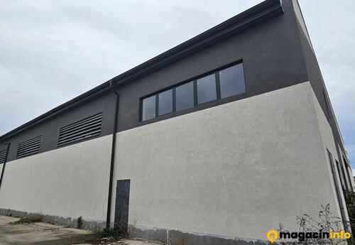 Warehouses to let in Magacinski prostor - Hala za izdavanje