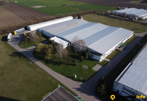 Warehouses to let in Logisticki centar Senta